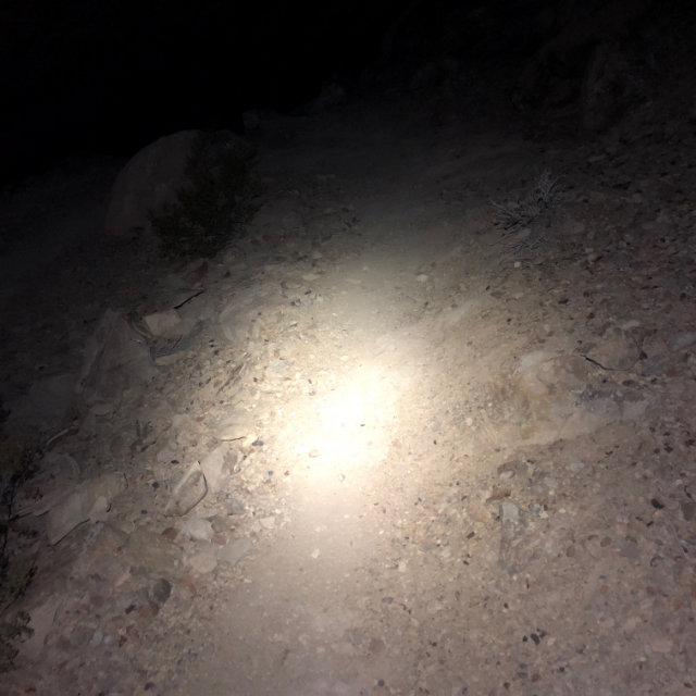 A photo of a trail lit by a headlamp.