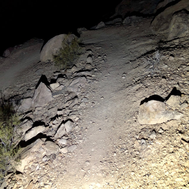 A photo of a trail lit by a waist light.