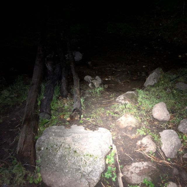 A photo of a trail lit by a headlamp.