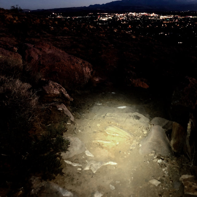A photo of a trail lit by a headlamp.